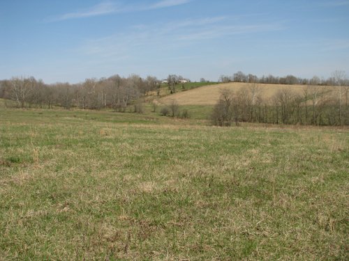 Property photo 45 - 137 Acres in 2 Tracts - 64 Tillable Acres, Potential Building Sites, Hunting